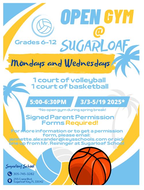 Open Gym Flyer